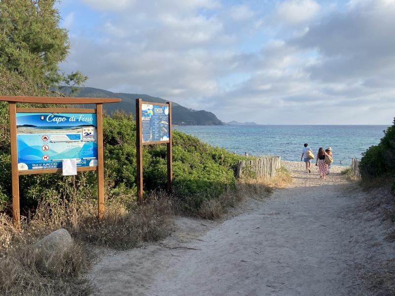 Plage Capo di Feno