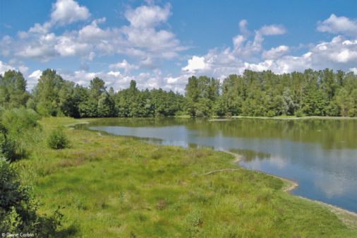 Photo : Ecopôle du Forez