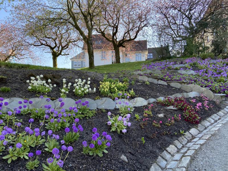 Musée de l’Université de Bergen