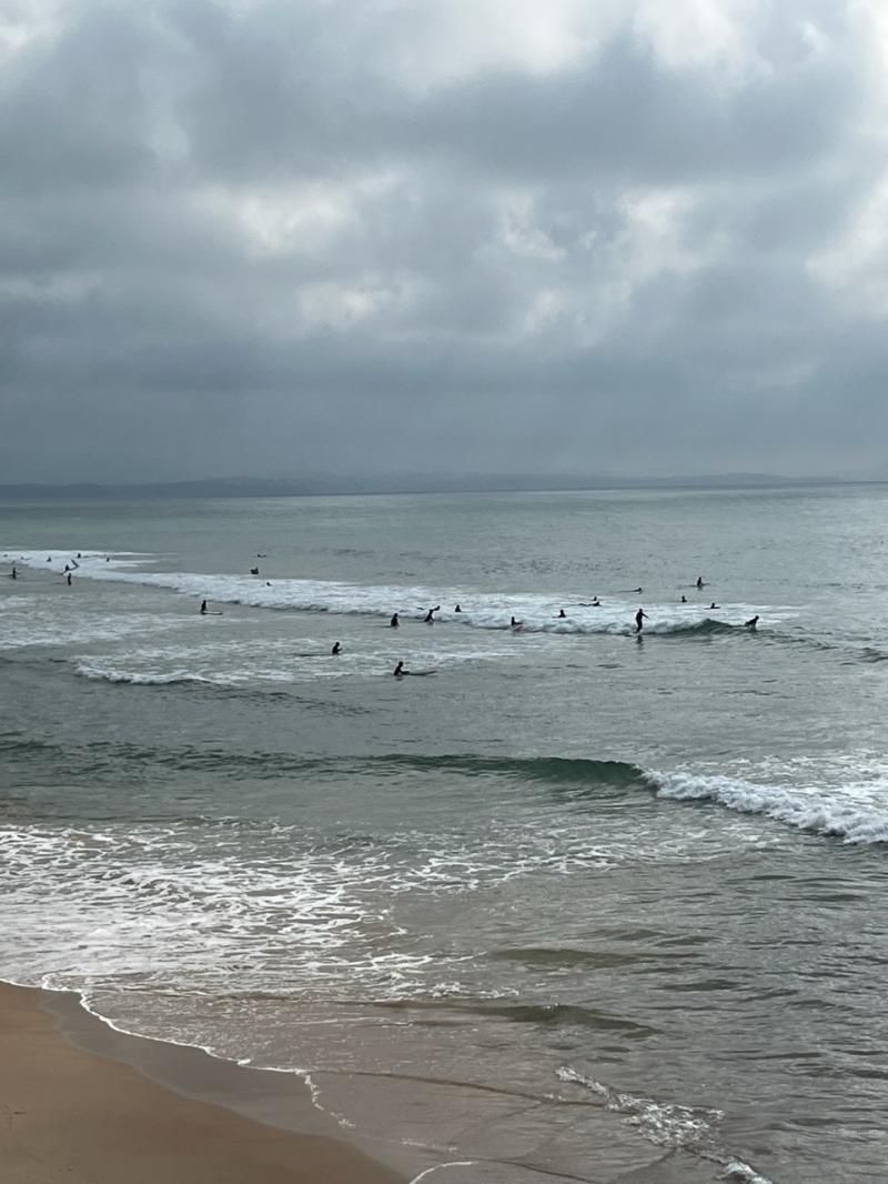 Belles sessions de surf en ce moment sur la Côte des Basques