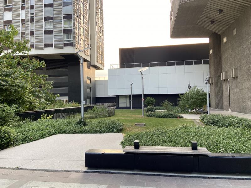 Conférence sur le faucon pèlerin à Beaugrenelle