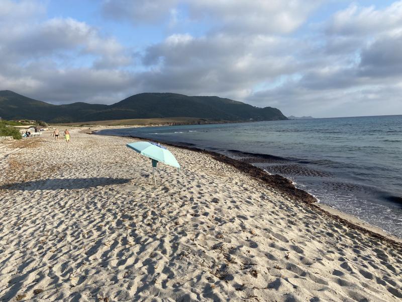 Plage Capo di Feno