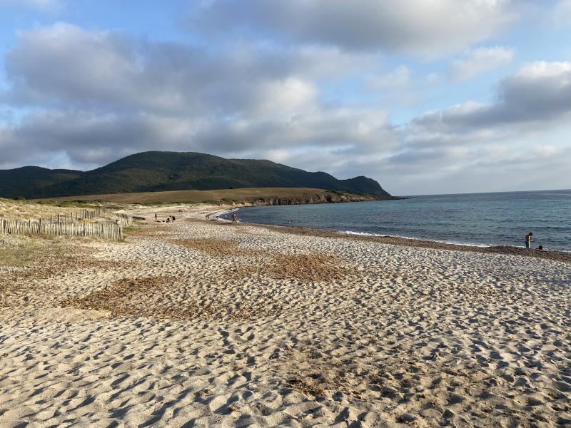 Plage Capo di Feno