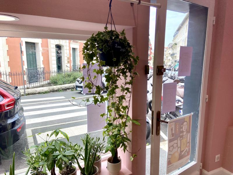 Atelier Pomponnette des fleurs de la région