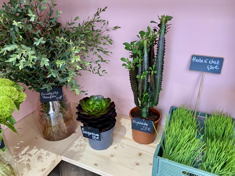 Atelier Pomponnette des fleurs de la région