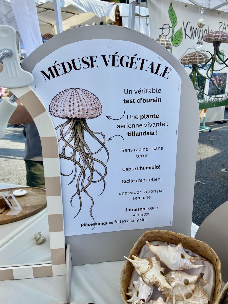Le marché nocturne de créateurs au Port Vieux